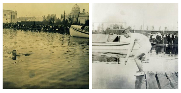 Swimming at the 1904 Olympics Swimming at the 1904 Olympics