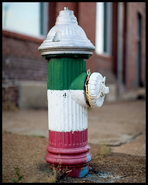 Fire Hydrant in the Hill