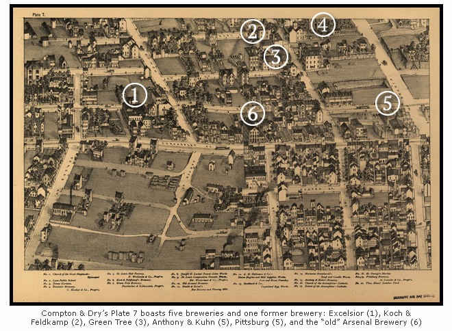 Plate 7