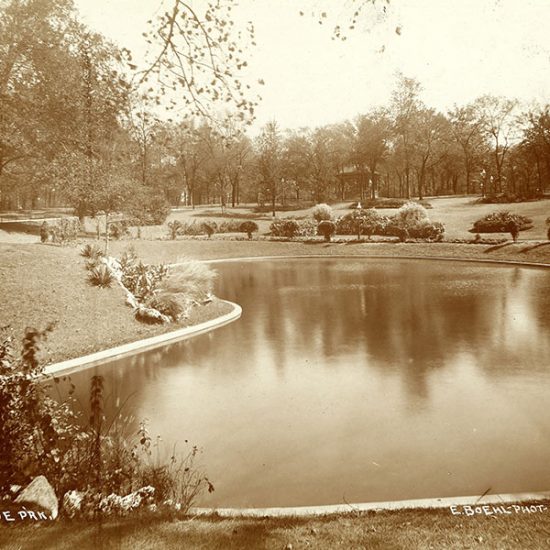 The Hyde Park Riot