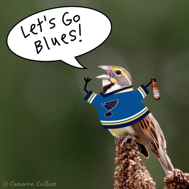 Let&#039;s Go Blues!
